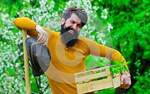 Professional gardener works in garden. Bearded man with shovel and box. Spring work. Farmer planting plants.