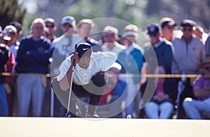 Tiger Woods, The Tiger Stare