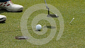 Professional golfer putting ball into the hole. Golf ball by the edge of hole with player in background on a sunny day.