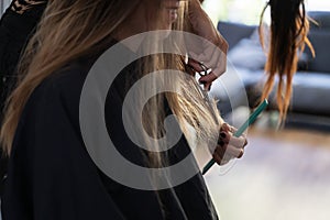 Professional hair stylist cutting a womans long brown hair
