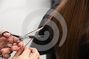 Professional hair stylist holding comb and hot thermal scissors cutting tips of long straight hair lock closeup