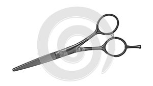 Professional Haircutting Scissors Isolated On White Background