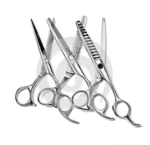 Professional Haircutting Scissors.
