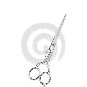 Professional Haircutting Scissors on white photo