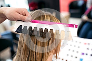 Professional hairdresser choose hair dye color at salon