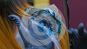 Professional hairdresser coloring hair of woman client at studio