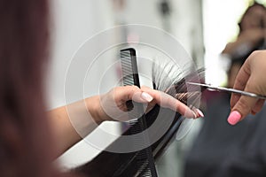 Professional hairdresser cuts hair to a woman in a beauty salon