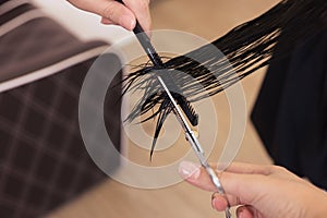 Professional hairdresser cutting woman`s hair in beauty salon, closeup