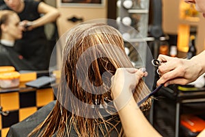 Professional hairdresser dyeing hair of her client in salon. Haircutter cuting hair. Selective focus.