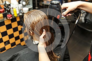 Professional hairdresser dyeing hair of her client in salon. Haircutter dry hair with hairdrier. Selective focus.