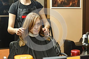 Professional hairdresser dyeing hair of her client in salon. Haircutter dry hair with hairdrier. Selective focus.