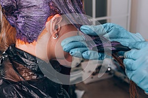 Professional hairdresser dyeing hair of her client in salon. Selective focus.