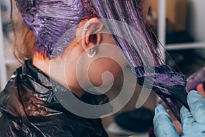 Professional hairdresser dyeing hair of her client in salon. Selective focus.