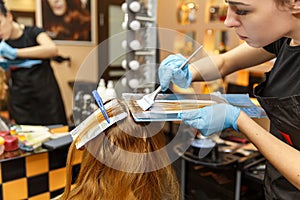 Professional hairdresser dyeing hair of her client in salon. Selective focus.