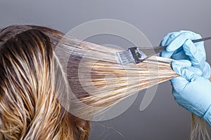 Professional hairdresser dyeing hair of her client in salon. Selective focus.