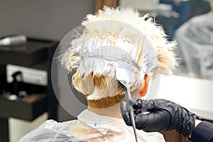 The professional hairdresser is dyeing the hair of her female client in a beauty salon.