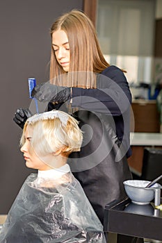 The professional hairdresser is dyeing the hair of her female client in a beauty salon.