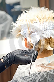 The professional hairdresser is dyeing the hair of her female client in a beauty salon.