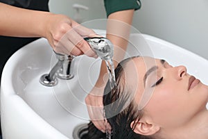 Professional hairdresser washing client`s hair at sink indoors, closeup