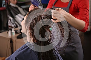 Professional hairdresser working with client in beauty salon