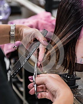 Professional hairdressing training academy