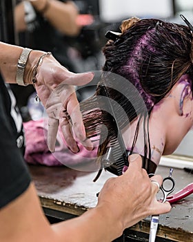 Professional hairdressing training academy photo