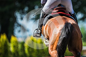 Professional horse rider jumping over the obstacle on show jumping competition. Equestrian sport theme