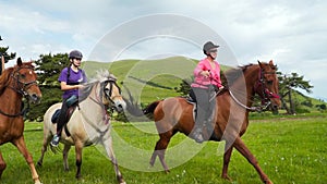 Professional horse riders riding horses slow motion. Equestrians dp equitation