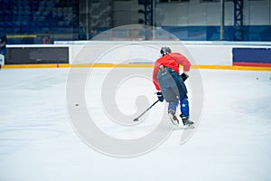 Professional ice hockey player in red on the ice
