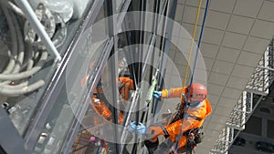 Industrial climber washes windows outside multi-storey building with moss coat, slow motion