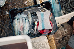 Professional island fisherman catching squid.Squid ink.Fish bait.Fishing for living.Local fish market.Fresh seafood.Healthy