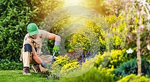 Professional Landscaper Performing Backyard Garden Maintenance