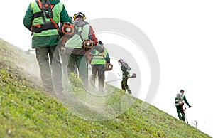 Professional landscapers cutting grass on inclined slope with  string trimmers photo