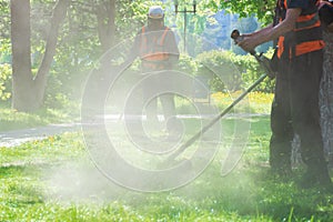 Professional lawn mowing service in the park