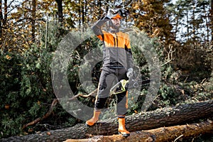 Professional lumberjack with chainsaw in the forest