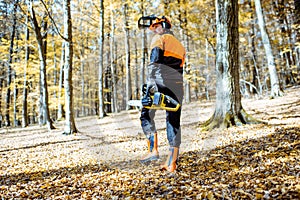 Professional lumberjack in the forest