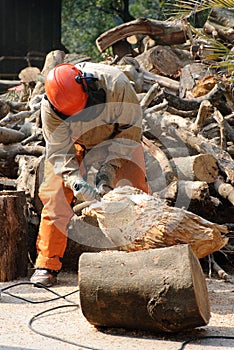 Professional lumberjack at work