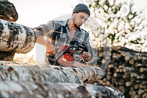 Professional lumberman wearing plaid shirt sawing tree with chainsaw