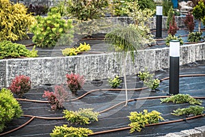Professional Made Backyard Garden Drip Irrigation System