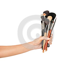 Professional make-up brush