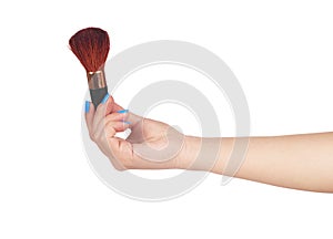 Professional make-up brush cosmetic