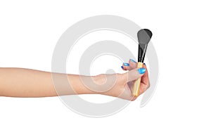 Professional, make-up brush cosmetic