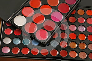 Professional make up pallettes of lip gloss