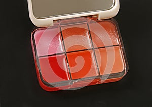 Professional make up pallettes of lip gloss