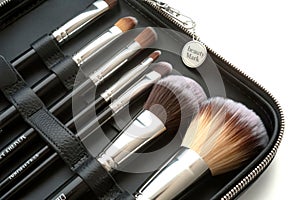 Professional makeup brush set neatly organized in a black leather case