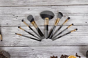 Professional makeup brush set. Powder brush set lined