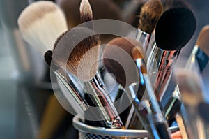 Professional makeup brushes