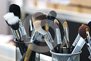 Professional makeup brushes