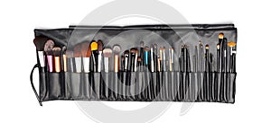 Professional makeup brushes