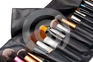 Professional makeup brushes